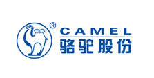 Camel shares
